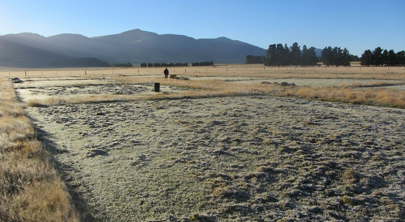 Clover One, certified for use in New Zealand and the European Union, improves clover content, enhances palatability for livestock, and delivers measurables on-farm profitability.